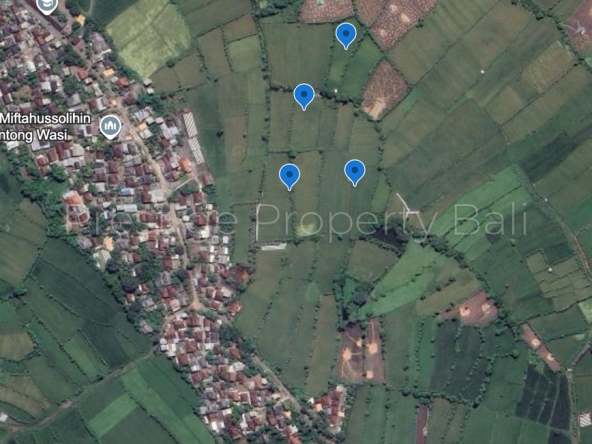 Prime Land for Sale in East Lombok