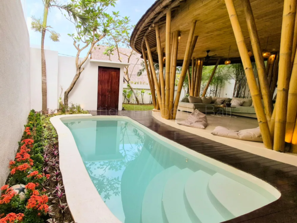 Bali Villas for Sale - 1068 update 1