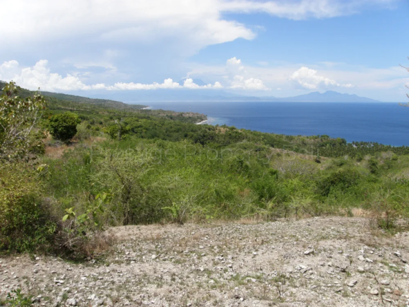 Bali Villas for Sale - 1124 1