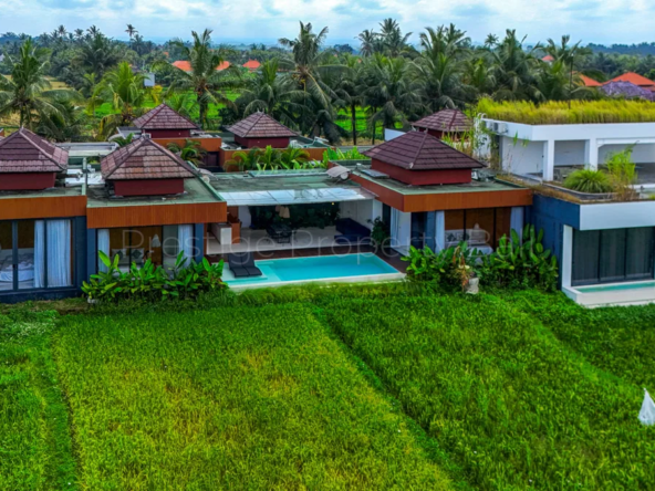 3-Bedroom Ubud Villa | Rice Field Living & Investment