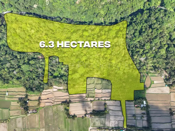 Bali Villas for Sale - 1152 3